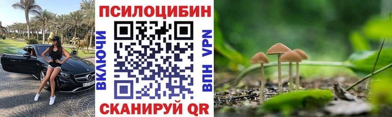 Галлюциногенные грибы мухоморы  что такое наркотик  Александровское 